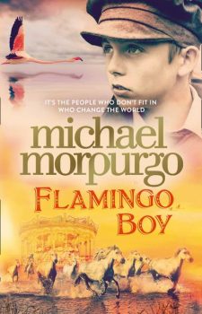 Flamingo-Boy