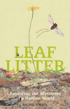 Leaf-Litter