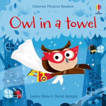 Owl-in-a-Towel