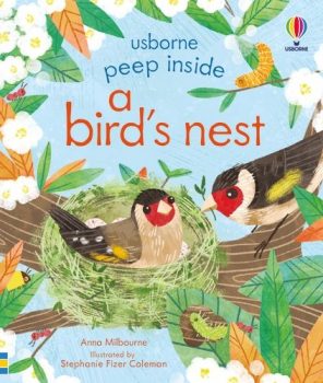 Peep-Inside-a-Birds-Nest
