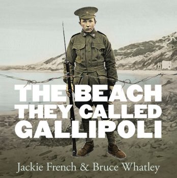 The-Beach-They-Called-Gallipoli