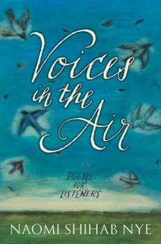 Voices-in-the-Air